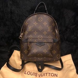 Louis Vuitton Palm Springs Mini Backpack